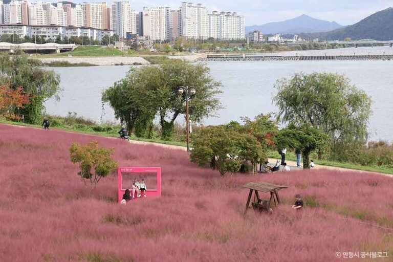 [경북] 그라스원