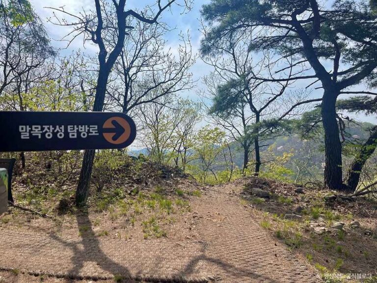 [경북] 구룡포 말목장성탐방로