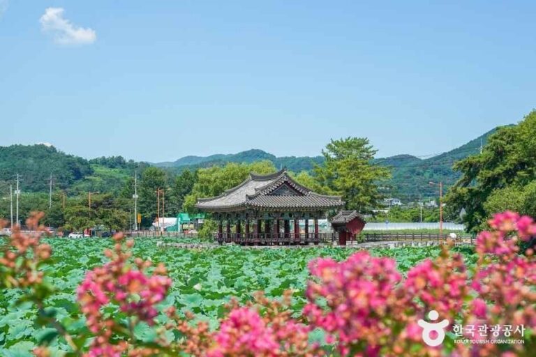 [경북] 유등연지