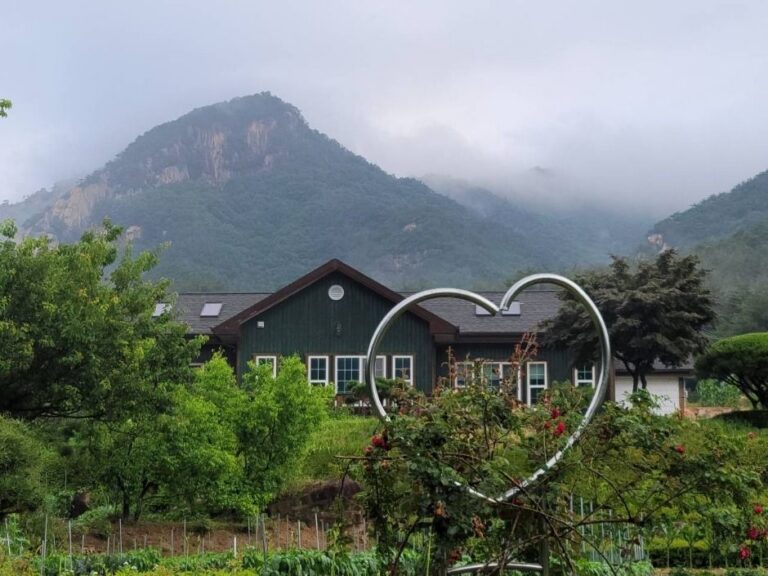 [경북] 문경오미자체험촌