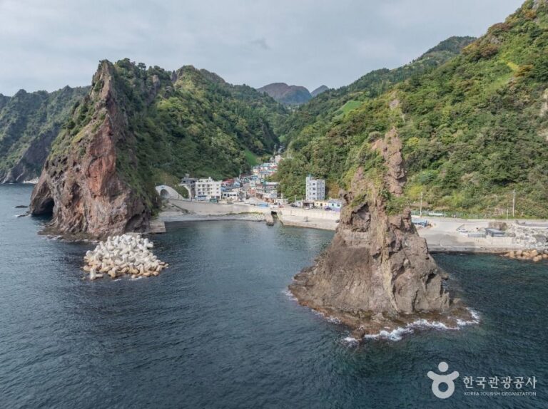 [경북] 거북바위 및 향나무 자생지 (울릉도, 독도 국가지질공원)