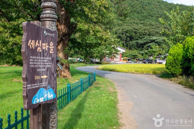 [경북] 옥산 세심마을