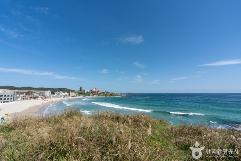 [경북] 구룡포해수욕장