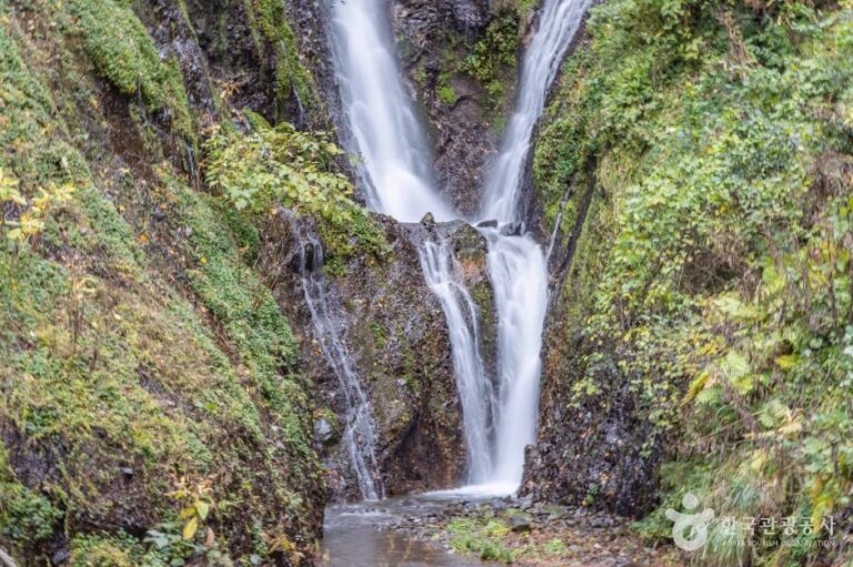 [경북] 봉래폭포 (울릉도, 독도 국가지질공원)