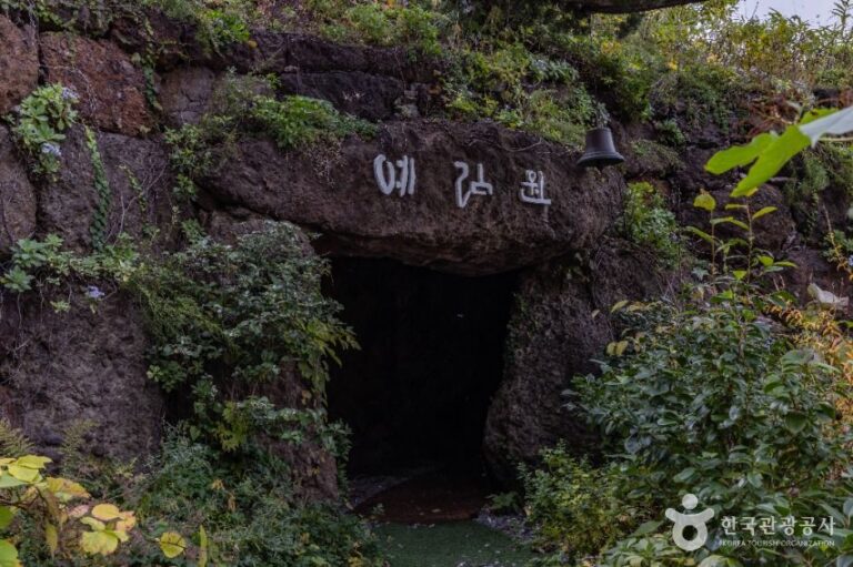 [경북] 울릉예림원