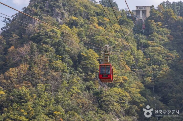 [경북] 독도전망대 케이블카