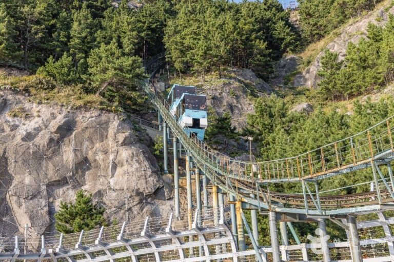 [경북] 태하향목관광모노레일