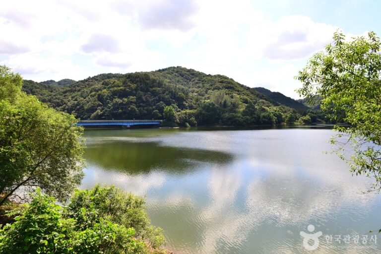 [광주] 제4수원지