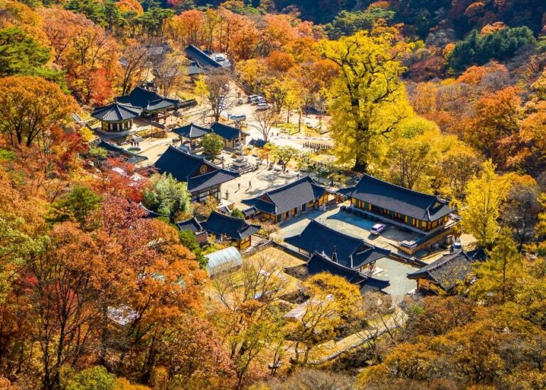 [경기] 양평 용문사 은행나무