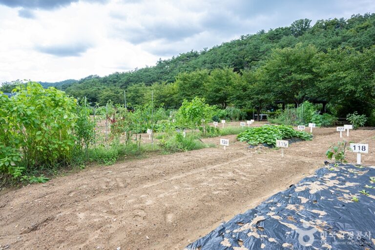 [경기] 원두막주말농장