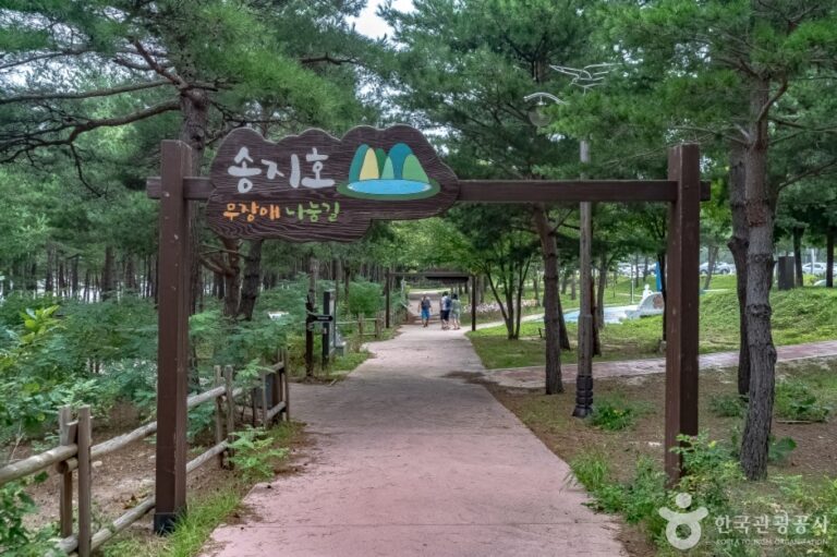 [강원] 송지호둘레길