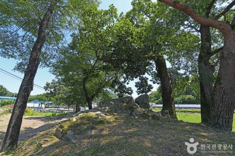 [충남] 수심대