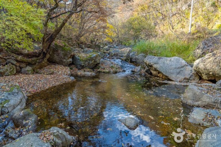 [경북] 용담사계곡