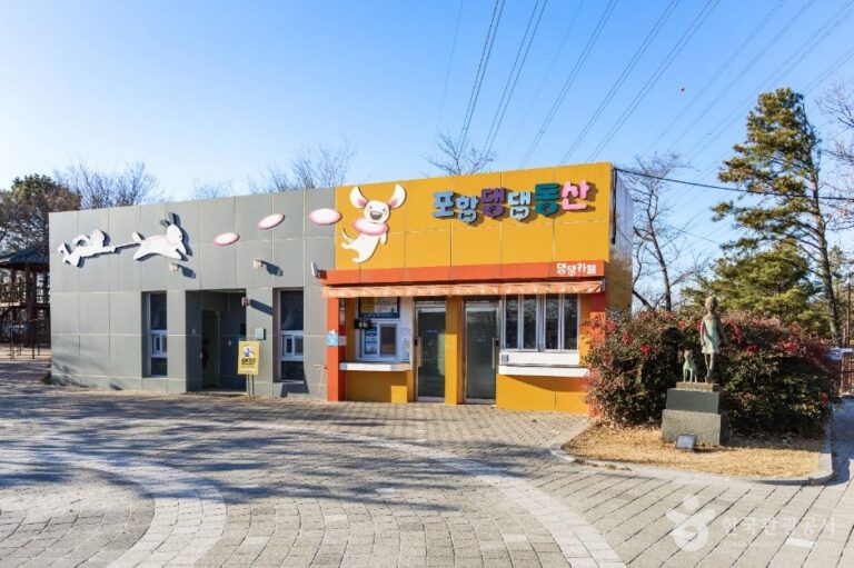 [경북] 포항댕댕동산