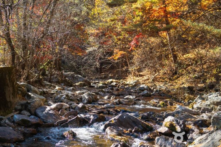 [경북] 봉화 대현리 열목어 서식지