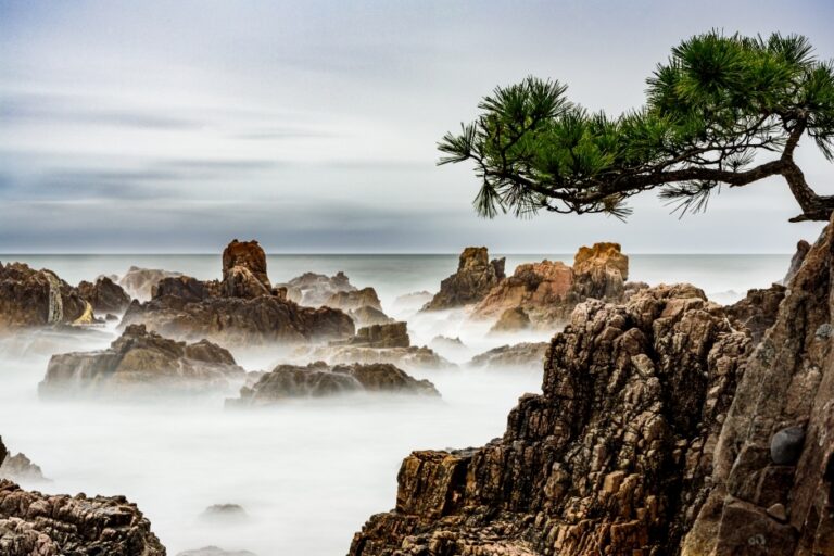 [경북] 경정리 백악기 퇴적암 (경북 동해안 국가지질공원)