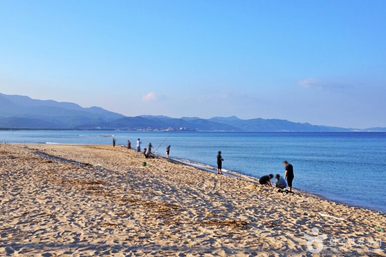 [경북] 대진해수욕장