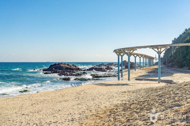 [경북] 후정해수욕장