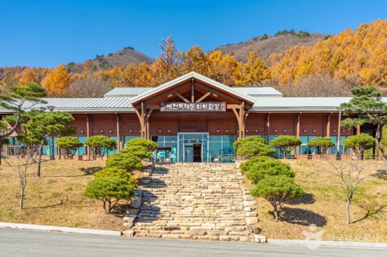 [경북] 예천목재문화체험장