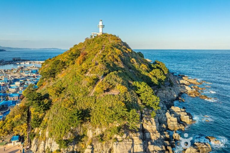 [경북] 죽도산전망대