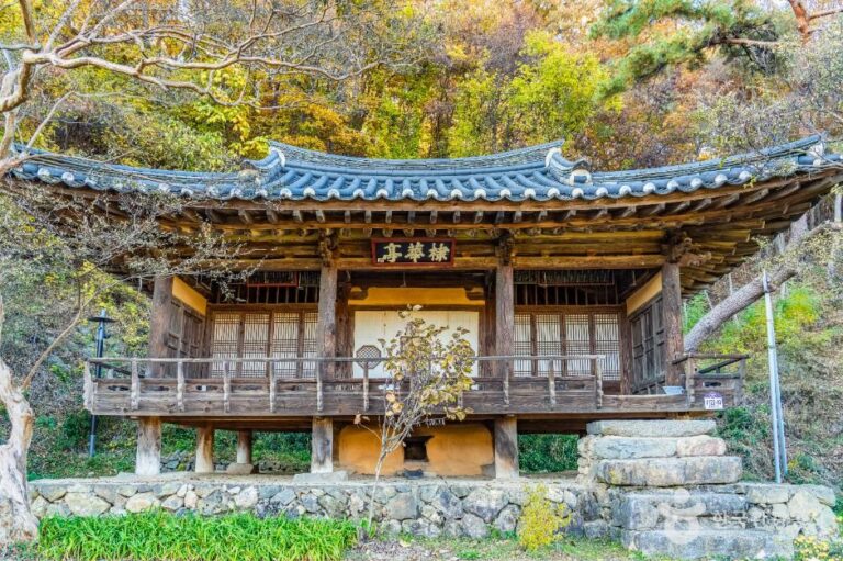 [경북] 안동 체화정