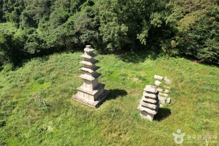 [경북] 경주 장항리 서 오층석탑