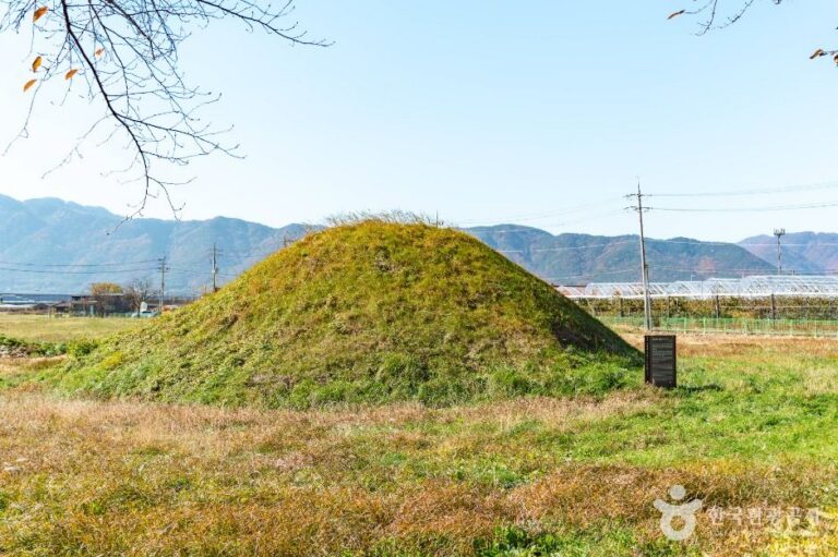[경북] 경주 금척리 고분군