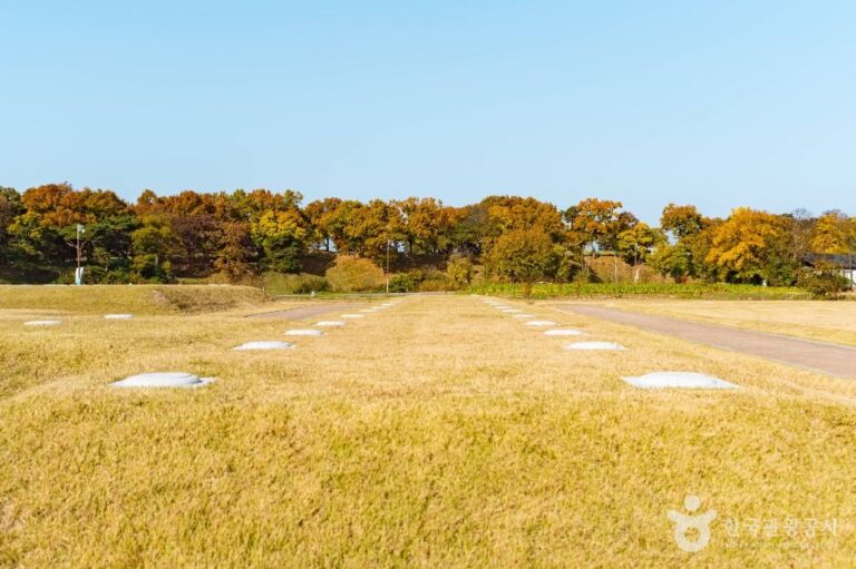 [경북] 경주 인왕동 사지