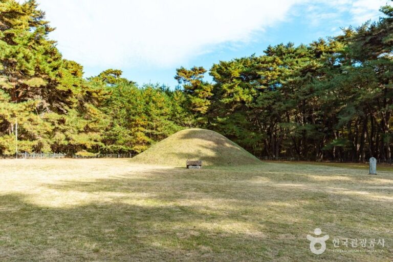 [경북] 경주 경애왕릉