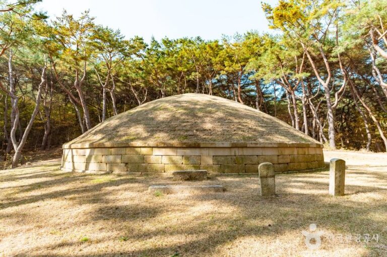 [경북] 경주 정강왕릉