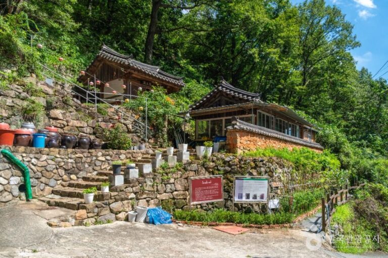 [경북] 불령사(청도)