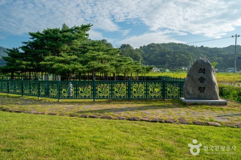 [경북] 예천 천향리 석송령