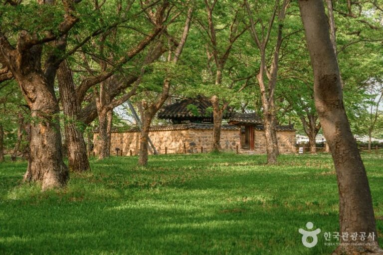 [경북] 경주 계림