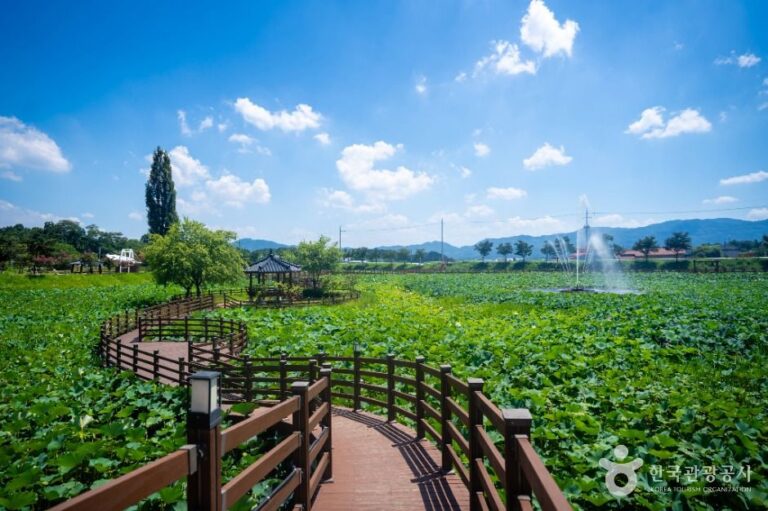 [경북] 뒷미지수변공원