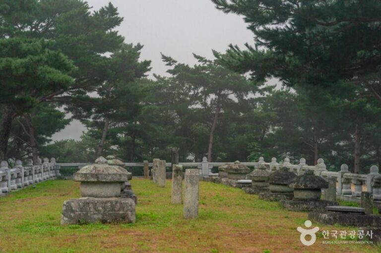 [경북] 성주 세종대왕자 태실