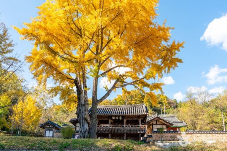 [경북] 예안향교