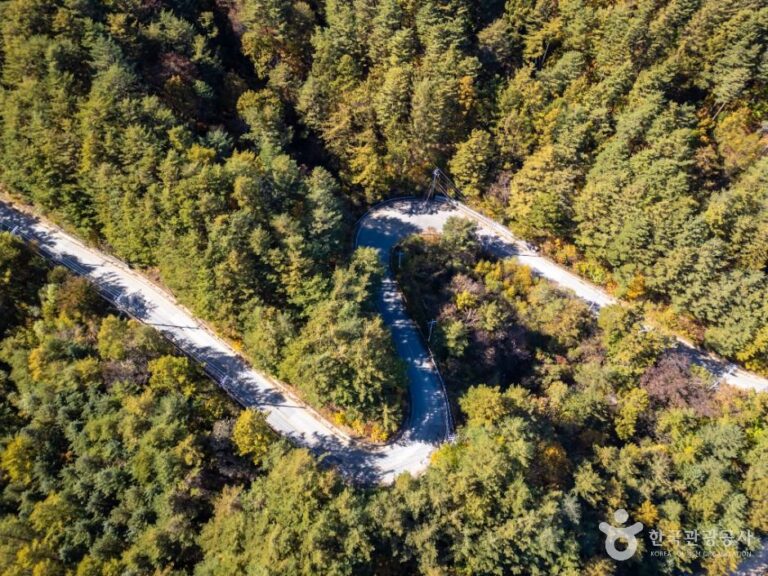 [경북] 청옥산(봉화)