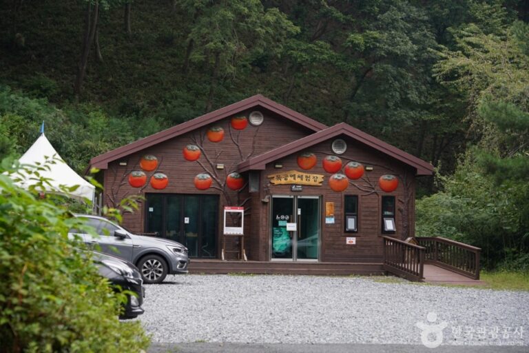 [경북] 국립 운문산자연휴양림