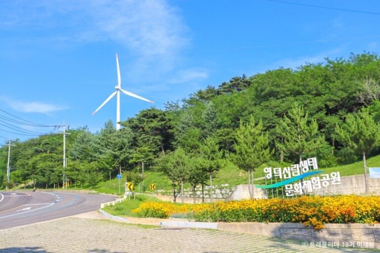 [경북] 별파랑공원