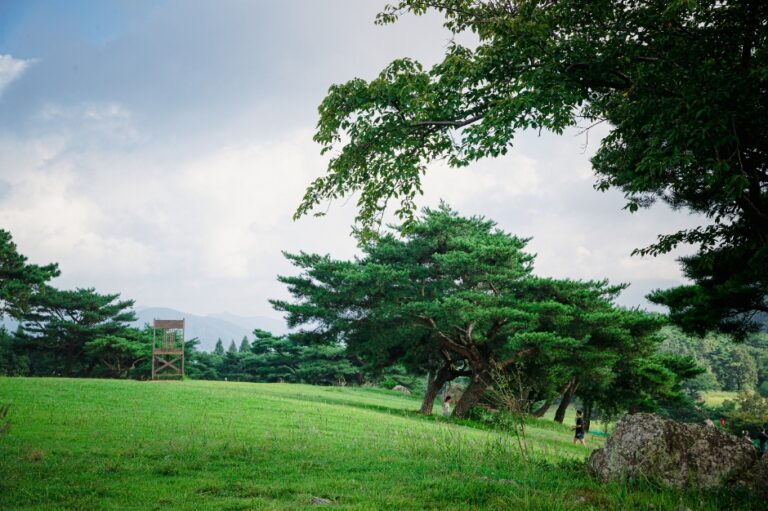 [경북] 화랑의언덕