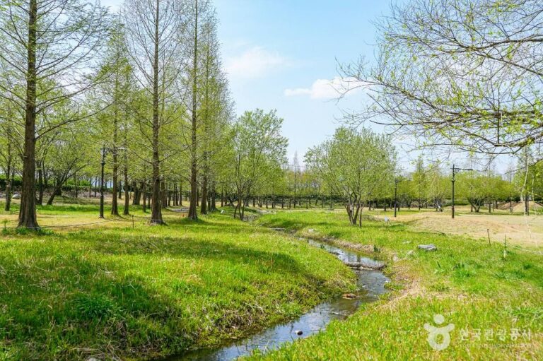 [경북] 신라왕경숲