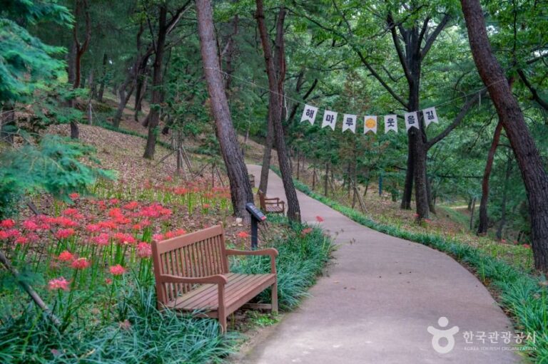 [경북] 해마루공원