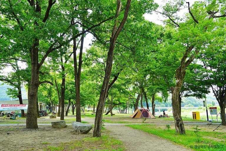 [경북] 고령 신촌숲