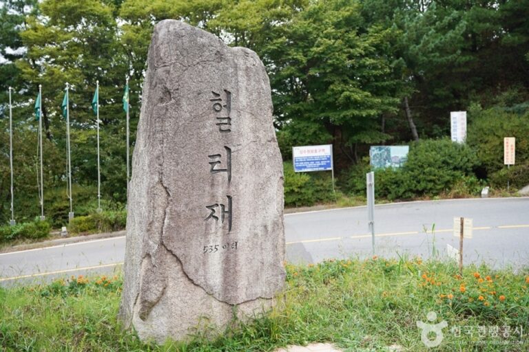 [경북] 헐티재골