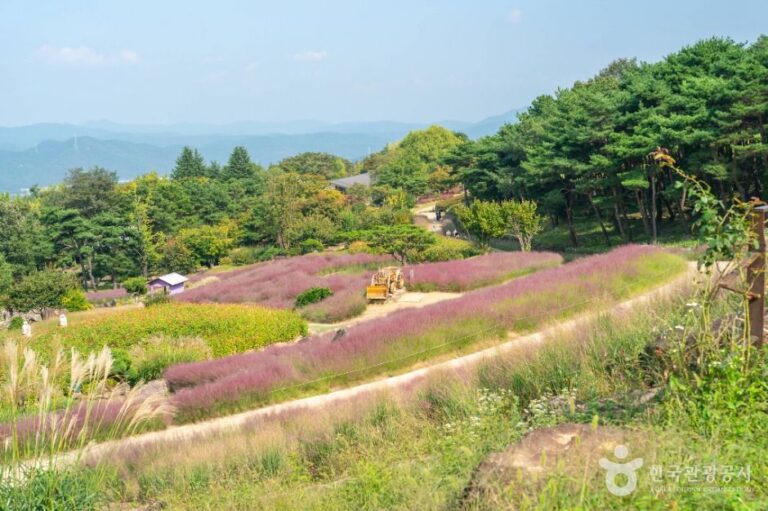 [경북] 가산수피아
