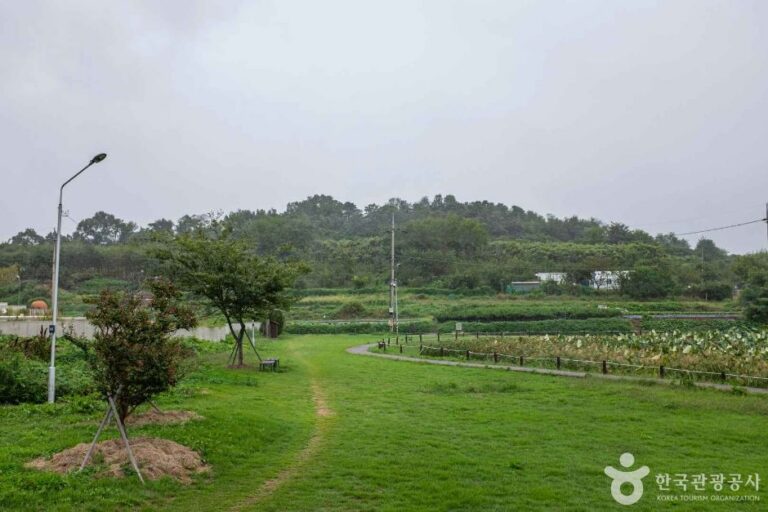 [경북] 남미질부성