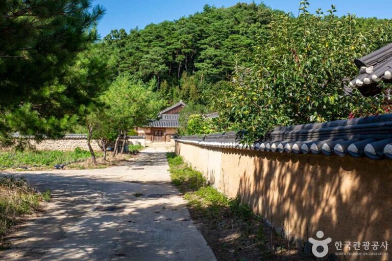 [경북] 안동 내앞마을