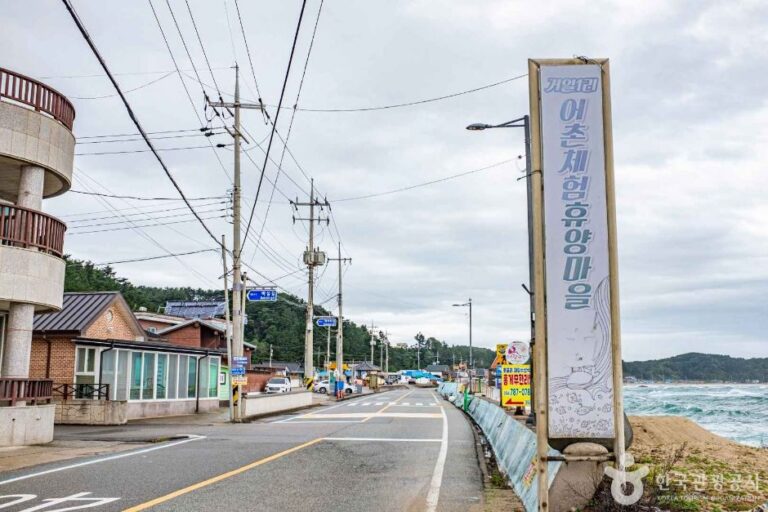 [경북] 거일1리 어촌체험마을