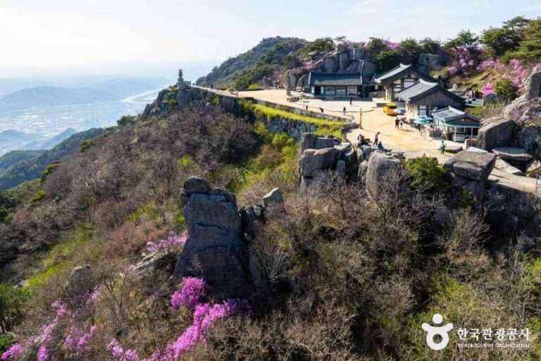[대구] 대견사