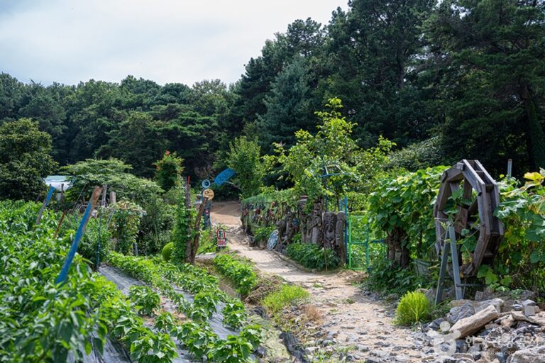 [경기] 서봉산산림욕장